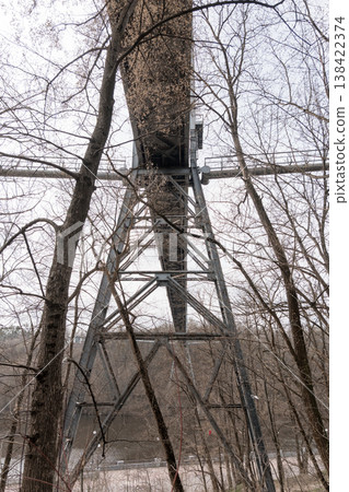 A towering steel lattice bridge pier stands amidst bare winter trees with a river flowing below under an overcast sky showcasing industrial architecture against nature. 138422374