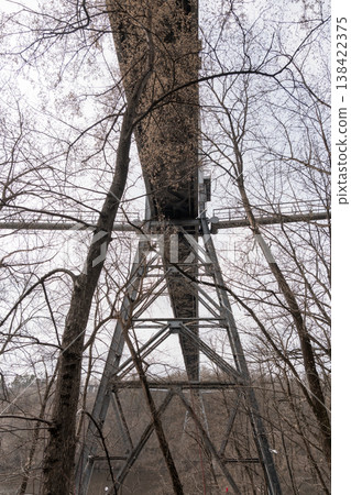 A towering steel lattice structure stands amidst bare winter trees, showcasing intricate metalwork against a muted sky in a serene forest setting. A towering steel lattice structure stands amidst bare winter trees, showcasing intricate metalwork against a muted sky in a serene forest setting. 138422375