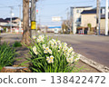 Early spring flowers along the highway 138422472