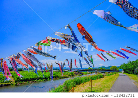 【神奈川】五月晴朗的天空下，鈴川的鯉魚旗和富士山的壯麗景色閃閃發光。 138422731