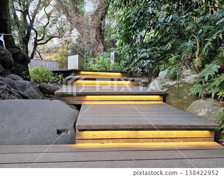 Illuminating pathway steps in the Park. 138422952
