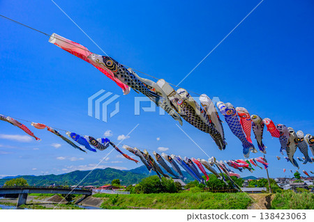 鈴川市，俯瞰丹澤山脈大山的鯉魚旗：200 條鯉魚旗在五月晴朗的天空下飄舞（平塚市） 138423063