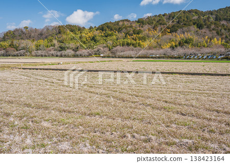 滋賀郡近江八幡市安土町的鄉村景色 滋賀郡近江八幡市安土町的鄉村景色 138423164