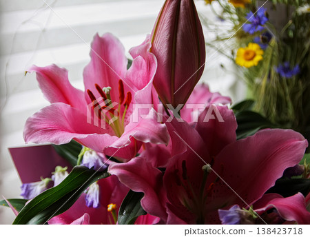 Bouquet of bright flowers captured in macro with vivid petals and fine detail. Bouquet of bright flowers captured in macro with vivid petals and fine detail. 138423718