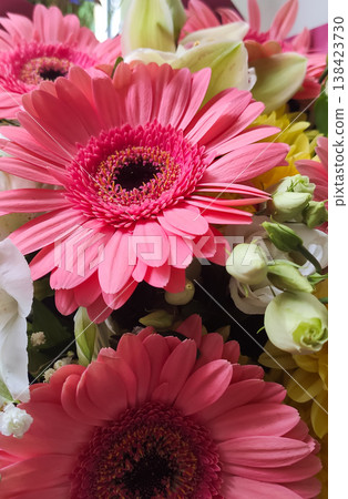 Macro shot of fresh flowers highlighting rich colors and delicate structure. Great for nature photography, prints, and visual storytelling. Macro shot of fresh flowers highlighting rich colors and delicate structure. Great for nature photography, prints, and visual storytelling. 138423730