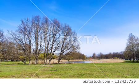 Fresh spring park with open space, trees, and clear blue sky. Perfect for outdoor visuals, tourism content, and design inspiration. Fresh spring park with open space, trees, and clear blue sky. Perfect for outdoor visuals, tourism content, and design inspiration. 138423759