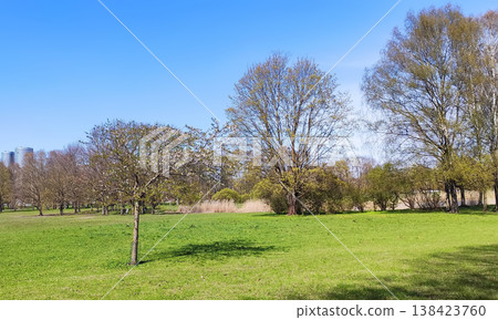 Fresh spring park with open space, trees, and clear blue sky. Perfect for outdoor visuals, tourism content, and design inspiration. 138423760