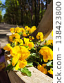 Bright yellow pansies in a pot adding color to an urban outdoor space. Ideal for landscaping visuals, balcony decor, and lifestyle content. 138423800