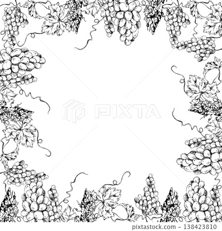 Botanical grapevine border frame with clustered grapes hanging over flowing tendrils and lush leaves. Isolated hand drawn ink vector illustration. Winery identity, subscription box design, bar menus Botanical grapevine border frame with clustered grapes hanging over flowing tendrils and lush leaves. Isolated hand drawn ink vector illustration. Winery identity, subscription box design, bar menus 138423810