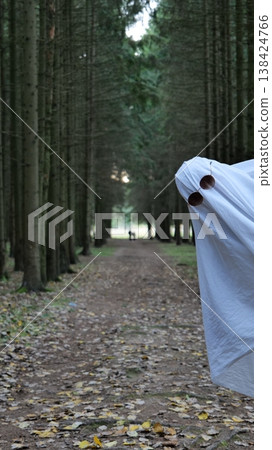 Person in Ghost Costume Walking on a Forest Path Person in Ghost Costume Walking on a Forest Path 138424766