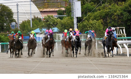 The pack of horses compete in the final straight. 138425364