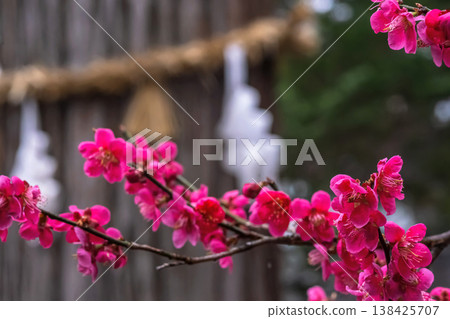 260401 飛鎢天滿宮 m047 138425707