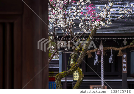 260401 Hida Tenmangu Shrine m064 138425718