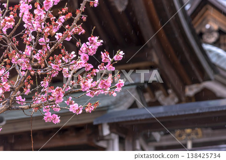 260401 Hida Tenmangu Shrine m088 138425734