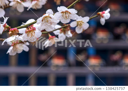 260401 Hida Tenmangu Shrine m091 138425737