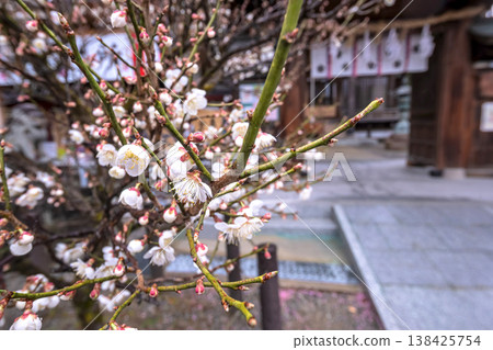 260401 Hida Tenmangu Shrine s128 138425754