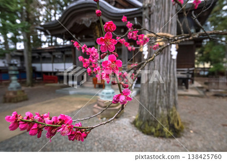 260401 Hida Tenmangu Shrine s139 260401 Hida Tenmangu Shrine s139 138425760