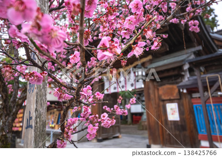260401 Hida Tenmangu Shrine s152 138425766