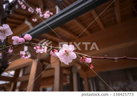 260401 Hida Tenmangu Shrine s167 138425773