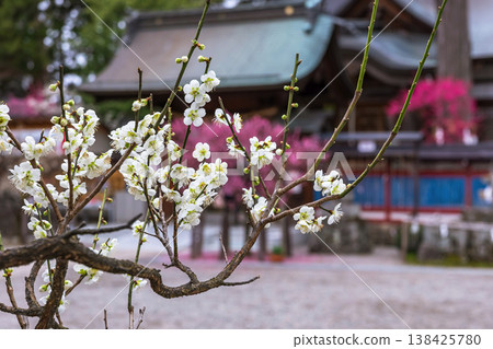 260401 Hida Tenmangu Shrine z003 138425780