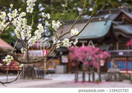 260401 Hida Tenmangu Shrine z004 138425781