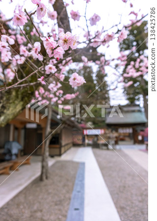 260401 Hida Tenmangu Shrine z013 260401 Hida Tenmangu Shrine z013 138425786