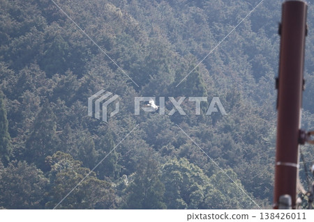 Stork Stork 138426011
