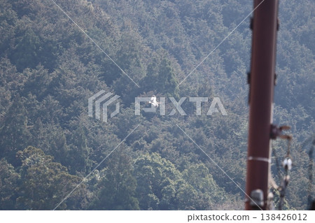 Stork Stork 138426012