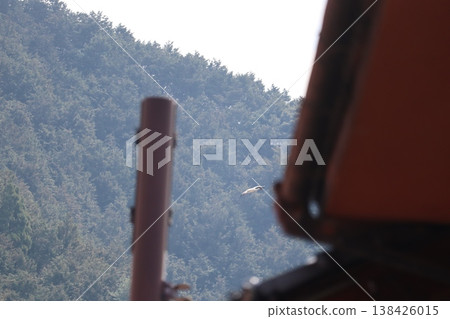 Stork Stork 138426015