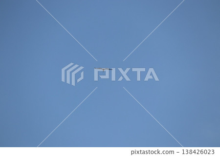 Stork Stork 138426023