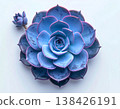 Promoting minimalist home decor. Succulent plant with purple leaves in pot on white background. Top view. 138426191