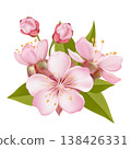 Composition Pink Sakura Blossom Branches  138426331