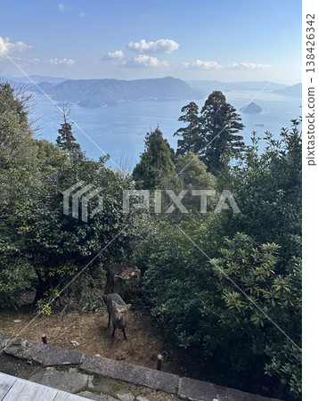 A hilltop view overlooking forests and the sea | Nature, openness, and relaxation A hilltop view overlooking forests and the sea | Nature, openness, and relaxation 138426342