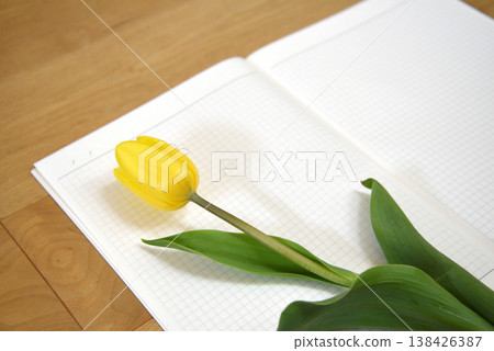 Yellow tulips on a notebook: A minimalist spring still life photograph. Yellow tulips on a notebook: A minimalist spring still life photograph. 138426387