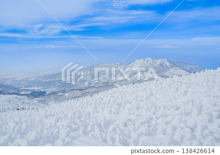 [Clear skies] Zao's snow monsters, pure white frost-covered trees standing out against the deep blue sky, and a spectacular winter landscape. 138426614