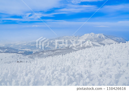 [Clear skies] Zao's snow monsters, pure white frost-covered trees standing out against the deep blue sky, and a spectacular winter landscape. 138426616