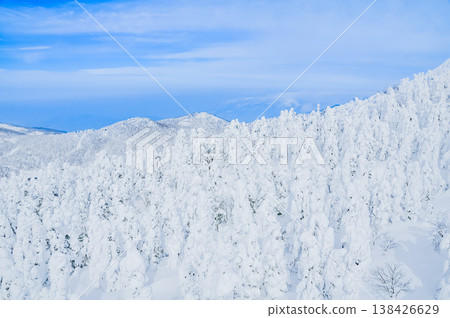 [Clear skies] Zao's snow monsters, pure white frost-covered trees standing out against the deep blue sky, and a spectacular winter landscape. 138426629
