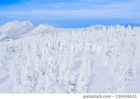 【晴空萬裡】藏王的雪怪，純白的霜凍覆蓋的樹木在湛藍的天空下格外醒目，構成了一幅壯觀的冬季景象。 138426633