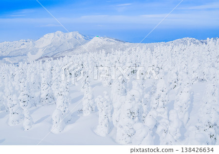 【晴空萬裡】藏王的雪怪,純白的霜凍覆蓋的樹木在湛藍的天空下格外醒目,構成了一幅壯觀的冬季景象。 【晴空萬裡】藏王的雪怪,純白的霜凍覆蓋的樹木在湛藍的天空下格外醒目,構成了一幅壯觀的冬季景象。 138426634