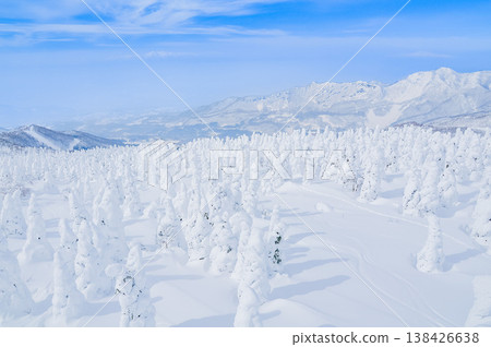 [Clear skies] Zao's snow monsters, pure white frost-covered trees standing out against the deep blue sky, and a spectacular winter landscape. 138426638