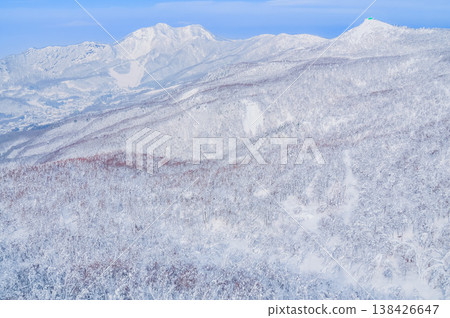 [Clear skies] Zao's snow monsters, pure white frost-covered trees standing out against the deep blue sky, and a spectacular winter landscape. 138426647
