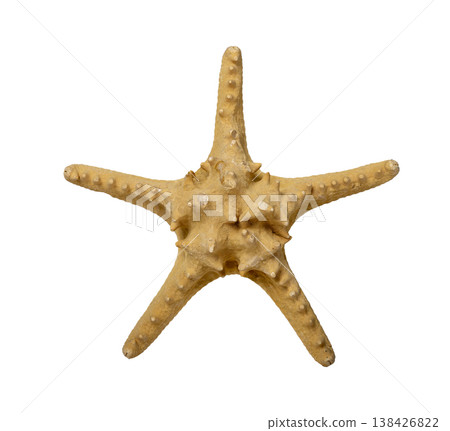Tropical starfish with radial shape and textured surface shown as single object. Exotic marine Tropical starfish with radial shape and textured surface shown as single object. Exotic marine 138426822
