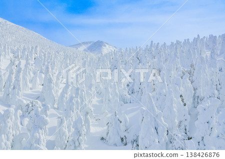 [Clear skies] Zao's snow monsters, pure white frost-covered trees standing out against the deep blue sky, and a spectacular winter landscape. 138426876