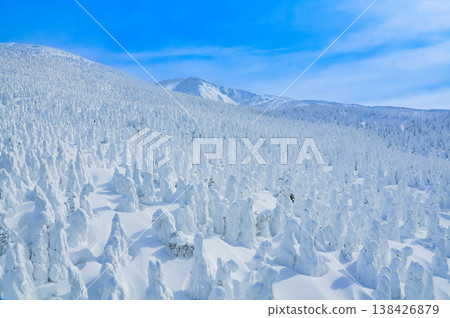 【晴空萬裡】藏王的雪怪,純白的霜凍覆蓋的樹木在湛藍的天空下格外醒目,構成了一幅壯觀的冬季景象。 【晴空萬裡】藏王的雪怪,純白的霜凍覆蓋的樹木在湛藍的天空下格外醒目,構成了一幅壯觀的冬季景象。 138426879