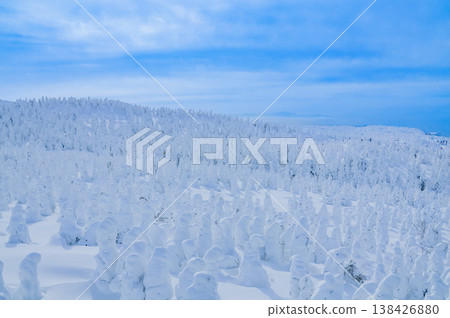 【晴空萬裡】藏王的雪怪，純白的霜凍覆蓋的樹木在湛藍的天空下格外醒目，構成了一幅壯觀的冬季景象。 138426880