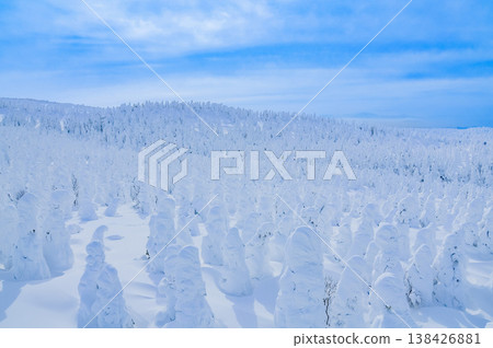 【晴空萬裡】藏王的雪怪,純白的霜凍覆蓋的樹木在湛藍的天空下格外醒目,構成了一幅壯觀的冬季景象。 【晴空萬裡】藏王的雪怪,純白的霜凍覆蓋的樹木在湛藍的天空下格外醒目,構成了一幅壯觀的冬季景象。 138426881