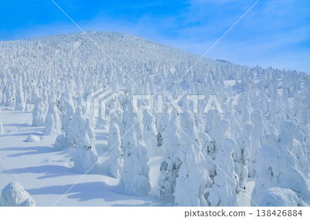 [Clear skies] Zao's snow monsters, pure white frost-covered trees standing out against the deep blue sky, and a spectacular winter landscape. 138426884