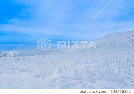 [Clear skies] Zao's snow monsters, pure white frost-covered trees standing out against the deep blue sky, and a spectacular winter landscape. 138426893