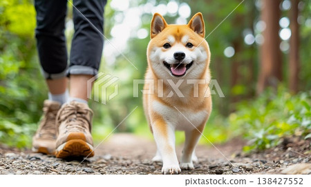A Shiba Inu and its owner hiking together in the forest. A Shiba Inu and its owner hiking together in the forest. 138427552