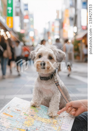 一隻小狗在鎮上散步，手裡拿著一張地圖。 138427553